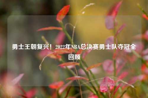 勇士王朝复兴！2022年NBA总决赛勇士队夺冠全回顾