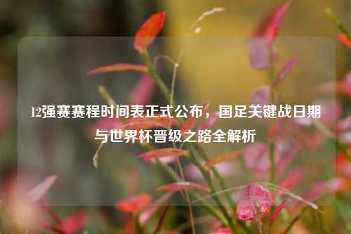 12强赛赛程时间表正式公布，国足关键战日期与世界杯晋级之路全解析