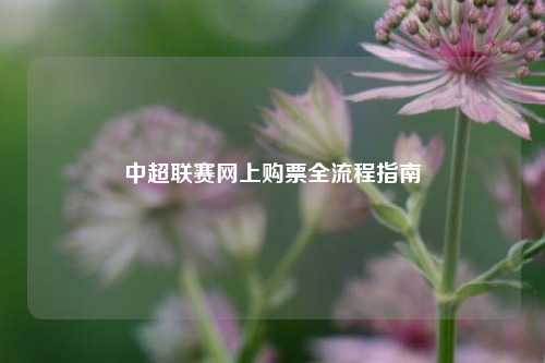 中超联赛网上购票全流程指南