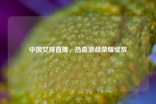 中国女排直播，热血激战荣耀绽放