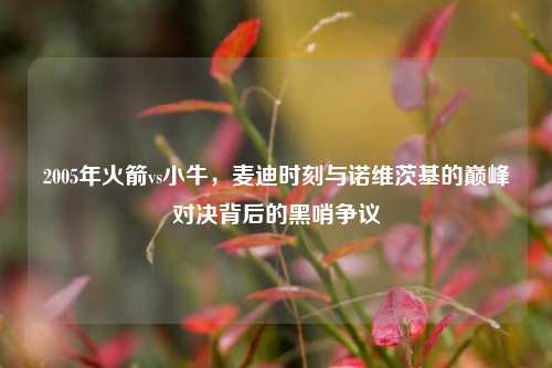 2005年火箭vs小牛，麦迪时刻与诺维茨基的巅峰对决背后的黑哨争议