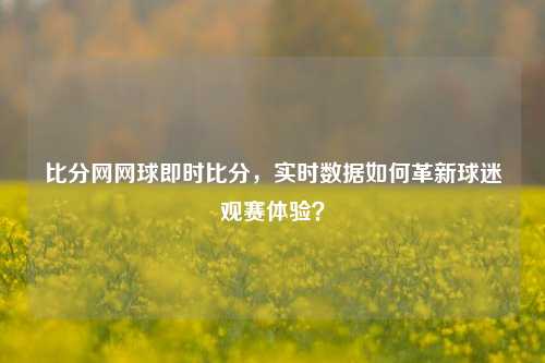 比分网网球即时比分，实时数据如何革新球迷观赛体验？