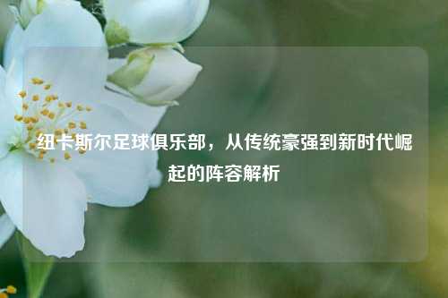 纽卡斯尔足球俱乐部，从传统豪强到新时代崛起的阵容解析