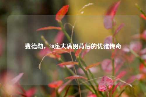 费德勒，20座大满贯背后的优雅传奇