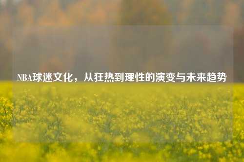 NBA球迷文化，从狂热到理性的演变与未来趋势