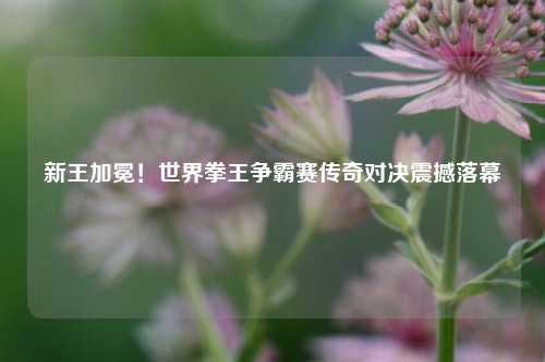 新王加冕！世界拳王争霸赛传奇对决震撼落幕