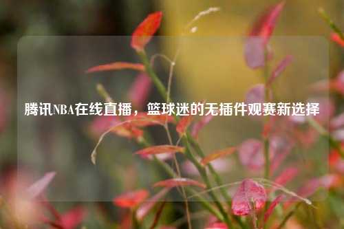 腾讯NBA在线直播，篮球迷的无插件观赛新选择