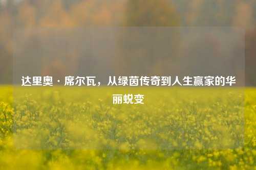 达里奥·席尔瓦，从绿茵传奇到人生赢家的华丽蜕变