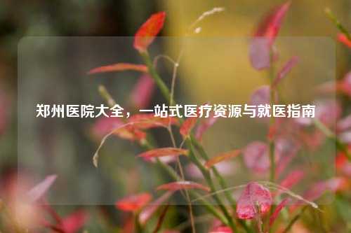 郑州医院大全，一站式医疗资源与就医指南