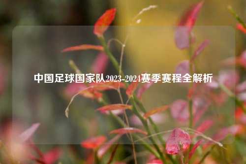 中国足球国家队2023-2024赛季赛程全解析
