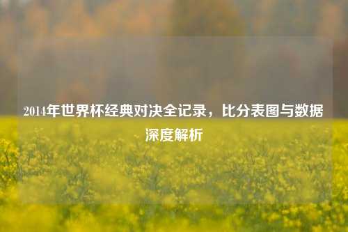2014年世界杯经典对决全记录，比分表图与数据深度解析