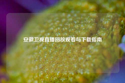 安徽卫视直播回放观看与下载指南