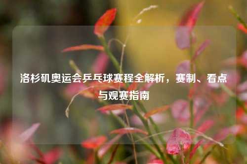 洛杉矶奥运会乒乓球赛程全解析，赛制、看点与观赛指南