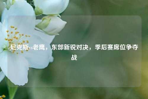 尼克斯vs老鹰，东部新锐对决，季后赛席位争夺战