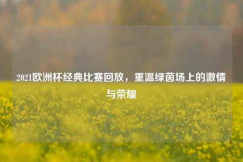 2021欧洲杯经典比赛回放，重温绿茵场上的     与荣耀