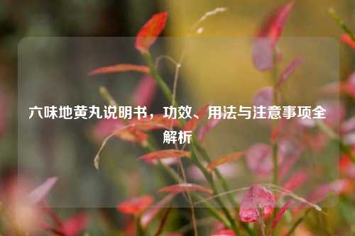 六味地黄丸说明书，功效、用法与注意事项全解析