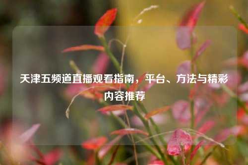 天津五频道直播观看指南，平台、     与精彩内容推荐