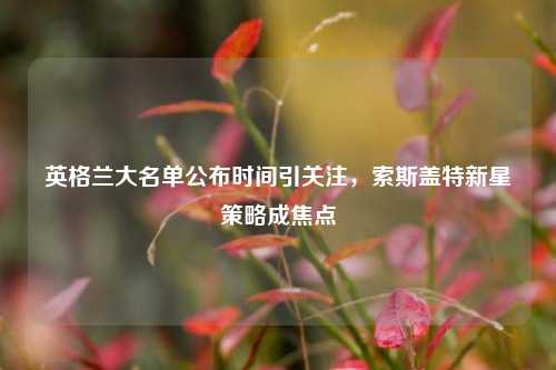 英格兰大名单公布时间引关注，索斯盖特新星策略成焦点