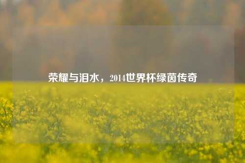 荣耀与泪水，2014世界杯绿茵传奇