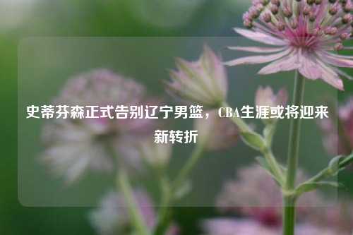 史蒂芬森正式告别辽宁男篮，CBA生涯或将迎来新转折