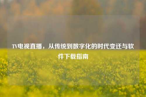 TV电视直播，从传统到数字化的时代变迁与软件下载指南