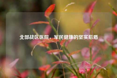 北部战区医院，军民健康的坚实后盾