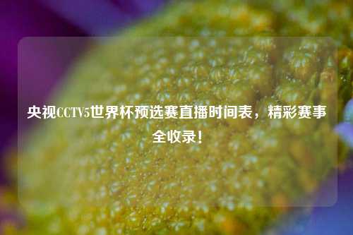 央视CCTV5世界杯预选赛直播时间表，精彩赛事全收录！