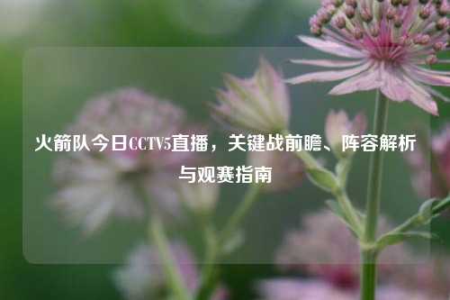 火箭队今日CCTV5直播，关键战前瞻、阵容解析与观赛指南