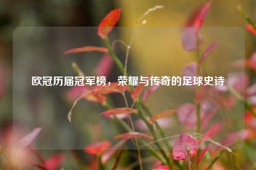 欧冠历届冠军榜，荣耀与传奇的足球史诗