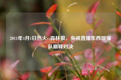 2011年4月1日热火vs森林狼，央视直播东西部强队巅峰对决