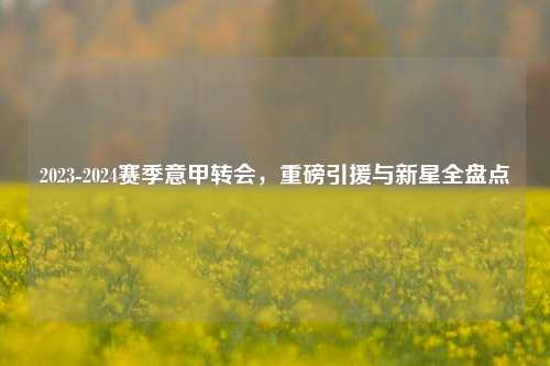 2023-2024赛季意甲转会，重磅引援与新星全盘点