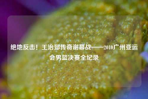 绝地反击！王治郅传奇谢幕战——2010广州亚运会男篮决赛全纪录
