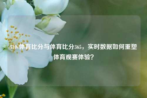 310v体育比分与体育比分365，实时数据如何重塑体育观赛体验？
