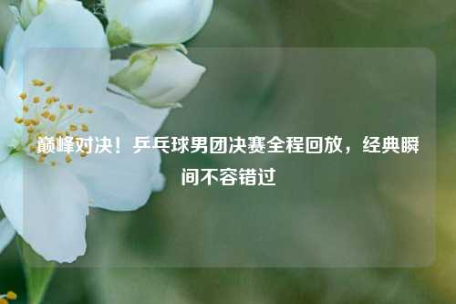 巅峰对决！乒乓球男团决赛全程回放，经典瞬间不容错过
