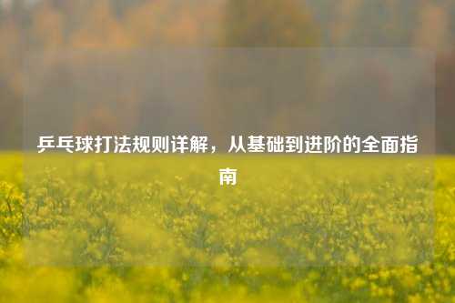 乒乓球打法规则详解，从基础到进阶的全面指南