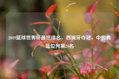 2019篮球世界杯最终排名，西班牙夺冠，中国男篮位列第24名