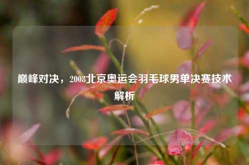 巅峰对决，2008北京奥运会羽毛球男单决赛技术解析