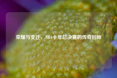 荣耀与变迁，NBA十年总决赛的传奇回眸