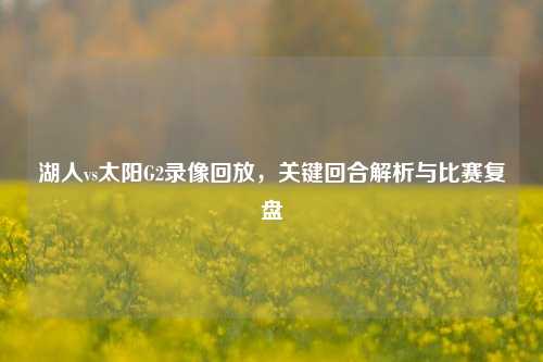 湖人vs太阳G2录像回放，关键回合解析与比赛复盘