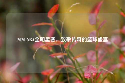 2020 NBA全明星赛，致敬传奇的篮球盛宴