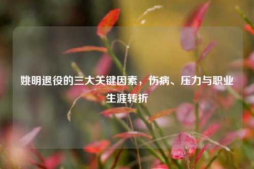 姚明退役的三大关键因素，伤病、压力与职业生涯转折