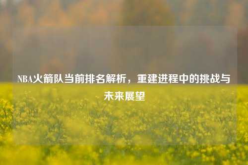 NBA火箭队当前排名解析，重建进程中的挑战与未来展望