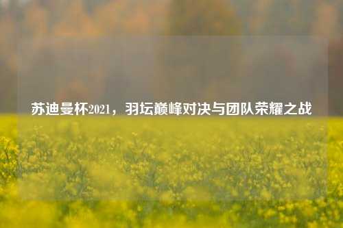 苏迪曼杯2021，羽坛巅峰对决与团队荣耀之战