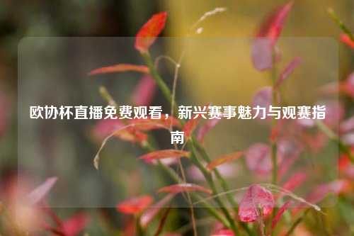 欧协杯直播免费观看，新兴赛事魅力与观赛指南