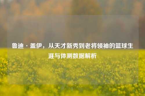 鲁迪·盖伊，从天才新秀到老将领袖的篮球生涯与体测数据解析