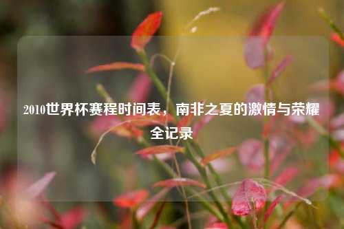 2010世界杯赛程时间表，南非之夏的     与荣耀全记录