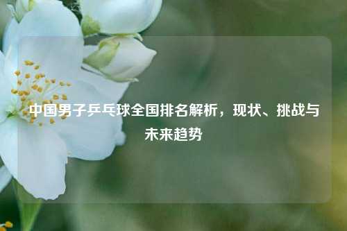 中国男子乒乓球全国排名解析，现状、挑战与未来趋势