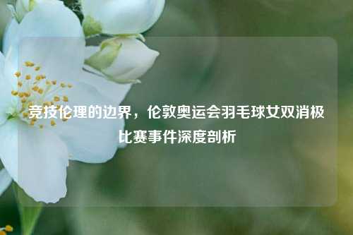 竞技伦理的边界，伦敦奥运会羽毛球女双消极比赛事件深度剖析