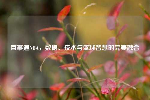 百事通NBA，数据、技术与篮球智慧的完美融合
