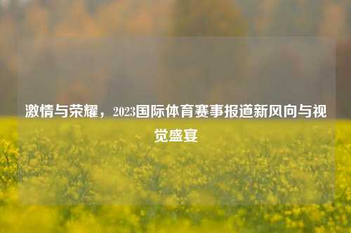      与荣耀，2023国际体育赛事报道新风向与视觉盛宴